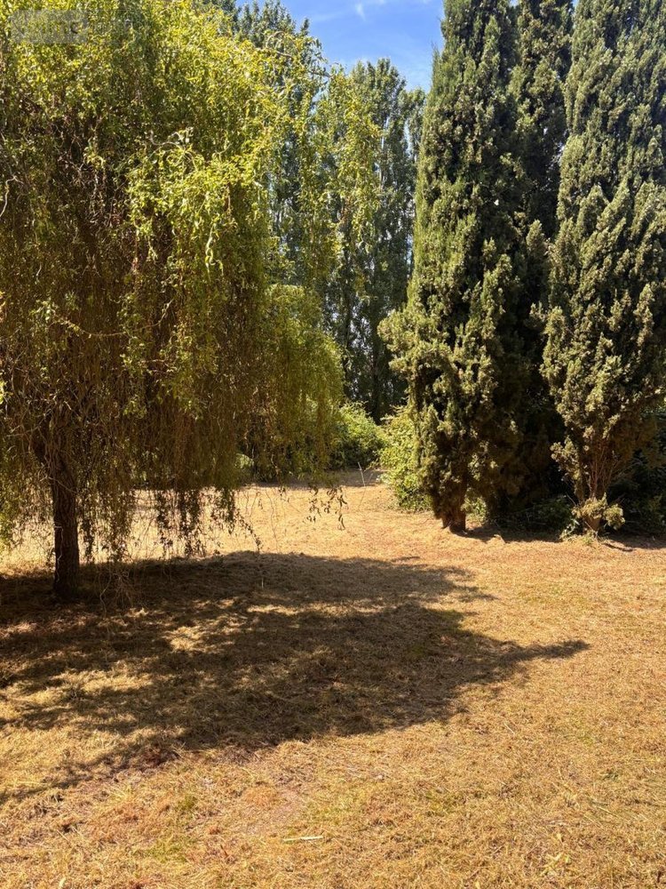 Terrain a batir a vendre Crouzilles 37220 Indre-et-Loire 2334 m2  33600 euros