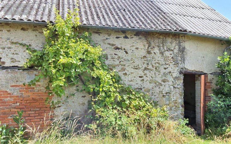 Maison a vendre Mozé-sur-Louet 49610 Maine-et-Loire 55 m2 3 pièces 84000 euros