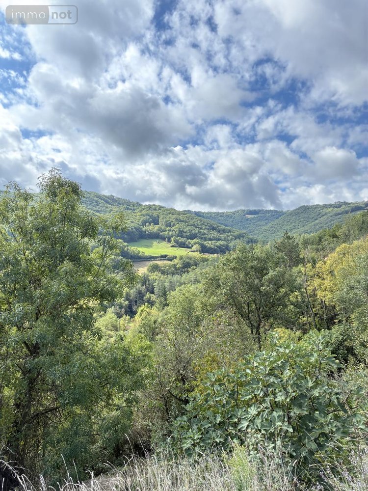 Maison a vendre Saint-Izaire 12480 Aveyron 98 m2 4 pièces 124900 euros