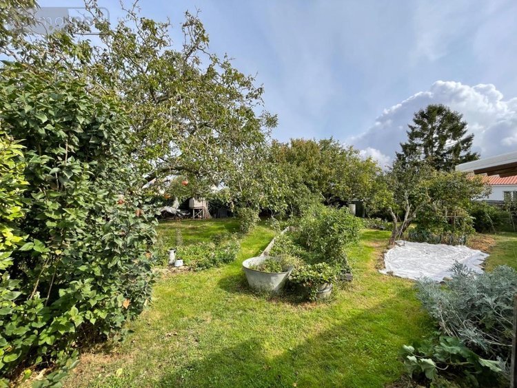 Maison a vendre Charron 17230 Charente-Maritime 151 m2 4 pièces 375000 euros