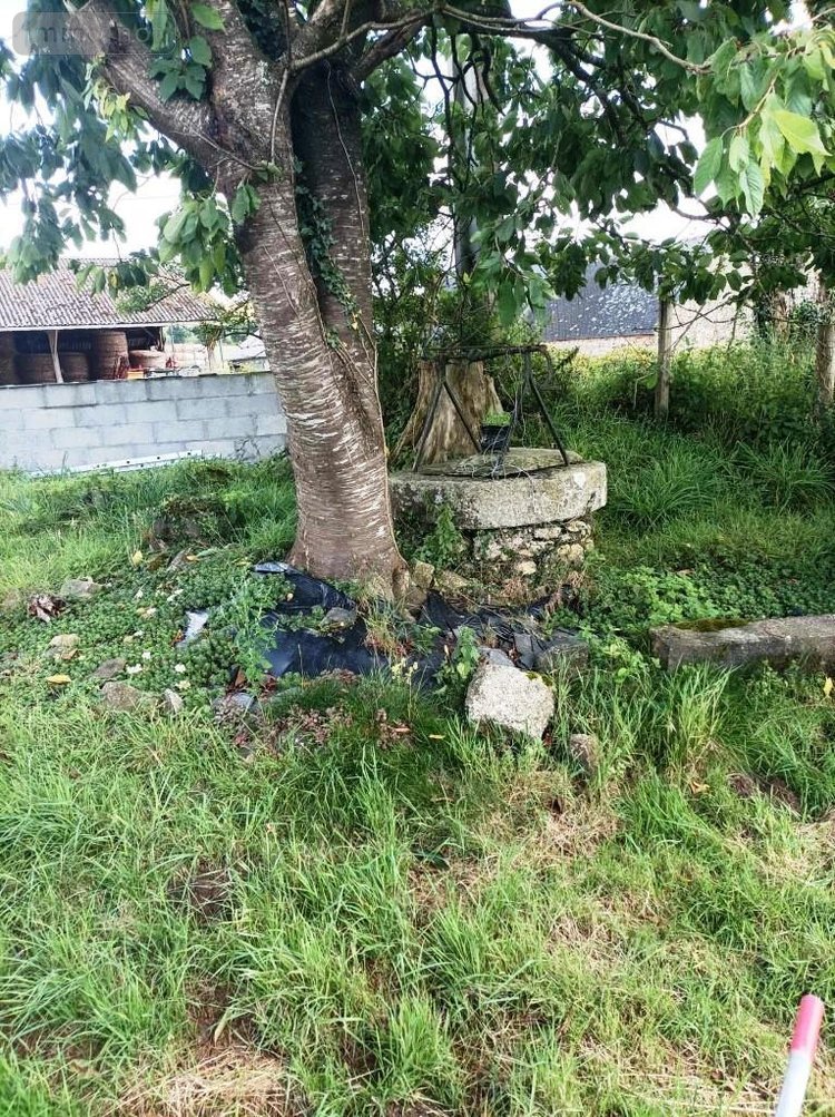 Maison a vendre Silfiac 56480 Morbihan 85 m2 4 pièces 145470 euros