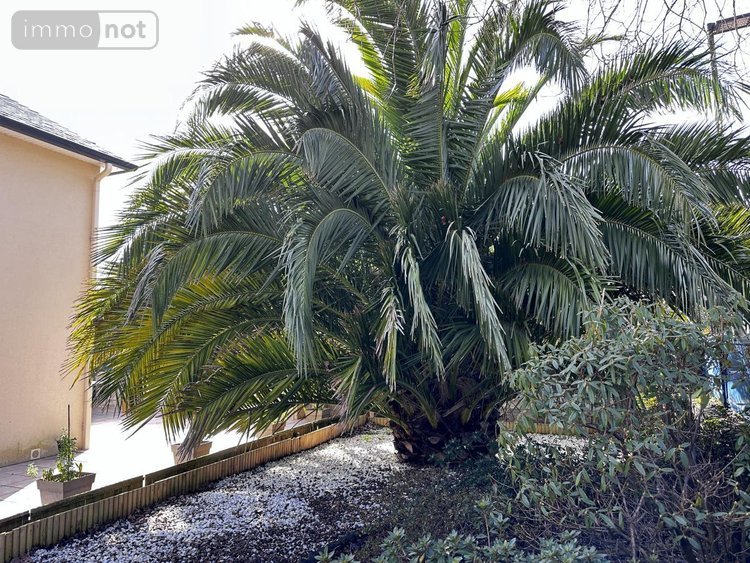 Maison a vendre Saint-Avé 56890 Morbihan 187 m2  770000 euros