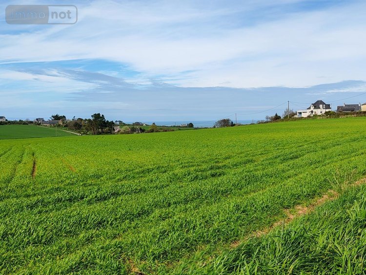 Terrain a batir a vendre Plougasnou 29630 Finistère 479 m2  72725 euros