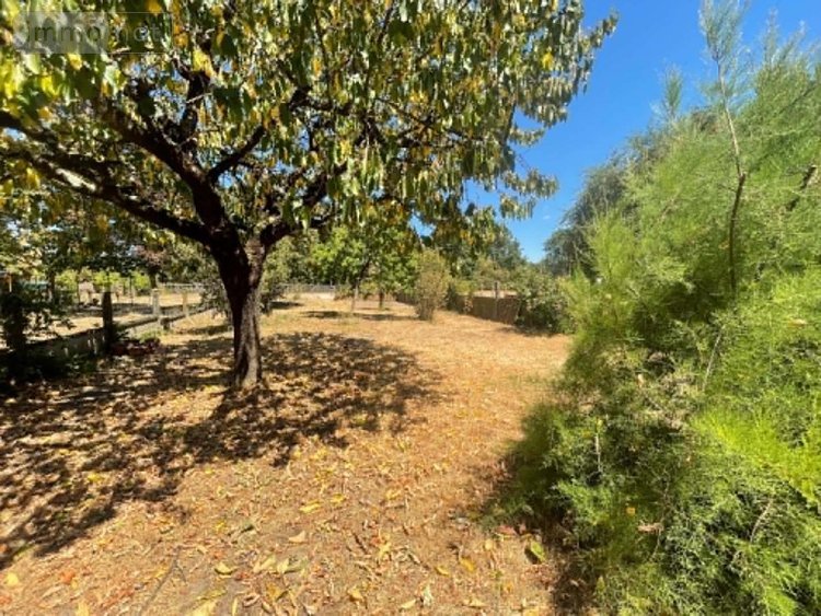 Maison a vendre Saint-Hilaire-Saint-Florent 49400 Maine-et-Loire 100 m2 6 pièces 209000 euros