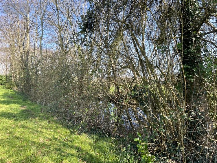 Maison a vendre Sillé-le-Philippe 72460 Sarthe 89 m2 3 pièces 93000 euros