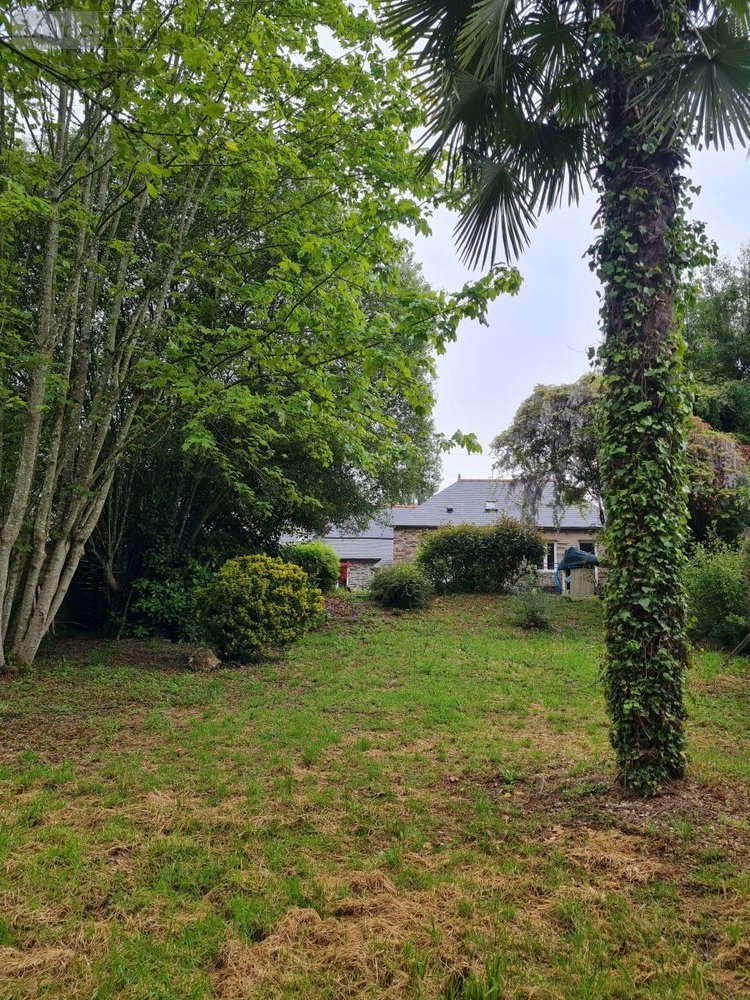 Maison a vendre Pleugriffet 56120 Morbihan 83 m2 4 pièces 89260 euros