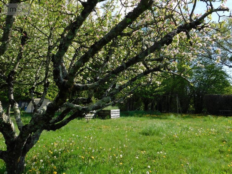 Maison a vendre Saint-Jean-le-Vieux 01640 Ain 101 m2 4 pièces 229000 euros