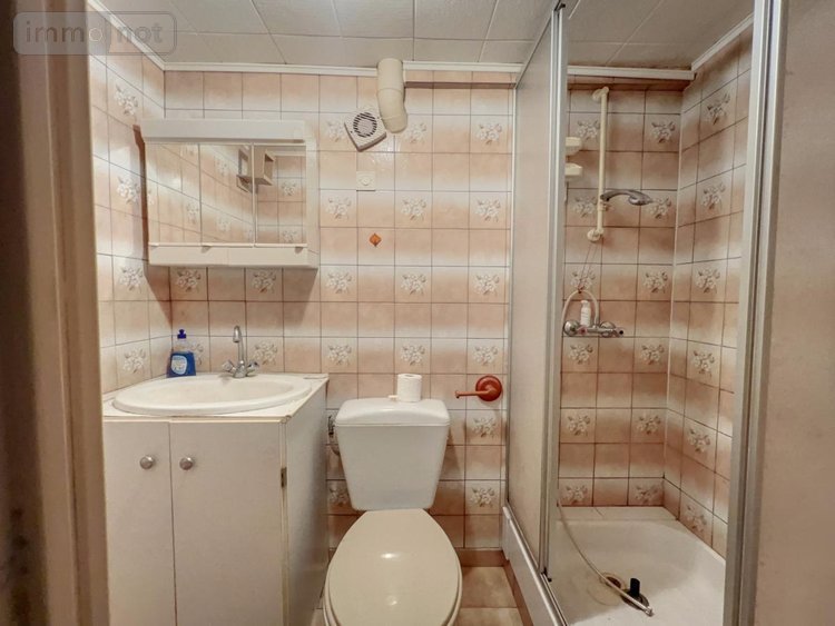 Maison a vendre Joué-lès-Tours 37300 Indre-et-Loire 206 m2 7 pièces 334800 euros