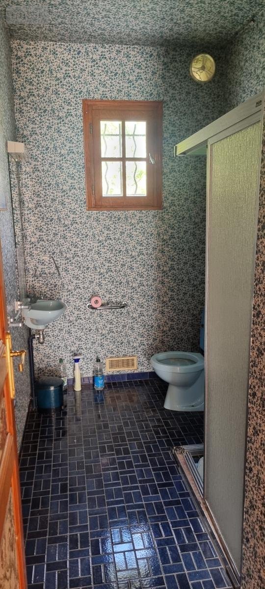 Maison a vendre Limeray 37530 Indre-et-Loire 123 m2  125000 euros