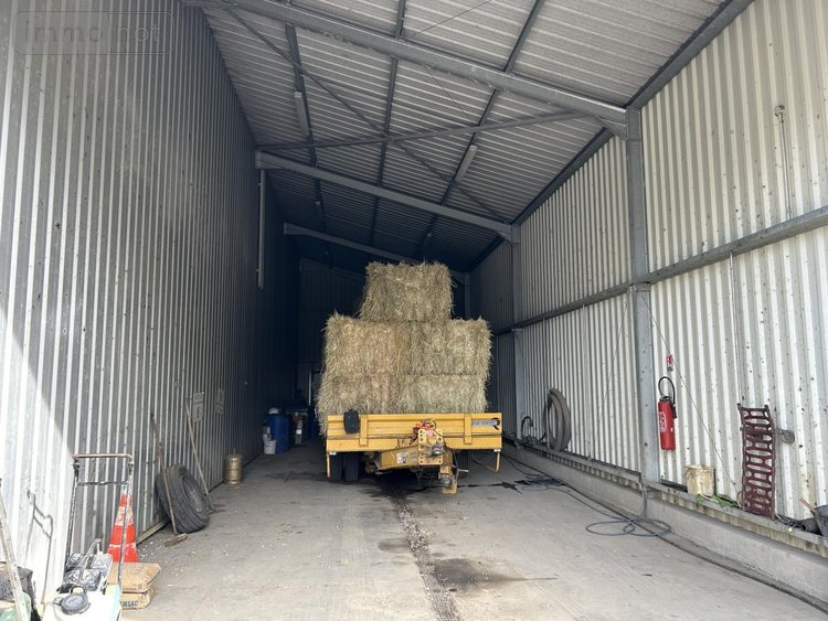 Location fonds et murs commerciaux Rumilly-en-Cambrésis 59281 Nord 1640 m2  3154 euros