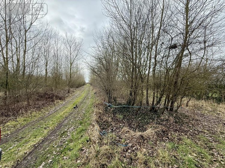 Terrains de loisirs bois etangs a vendre Rue 80120 Somme 14468 m2  188000 euros
