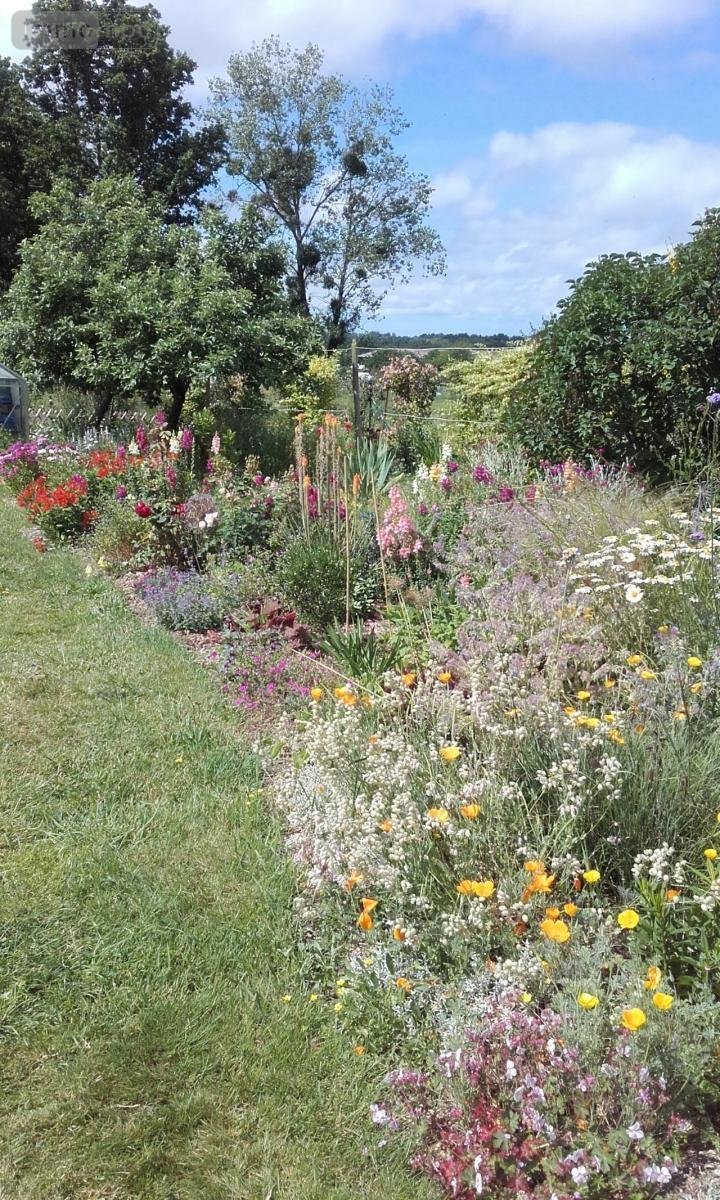 Maison a vendre Herbignac 44410 Loire-Atlantique 148 m2 5 pièces 365750 euros