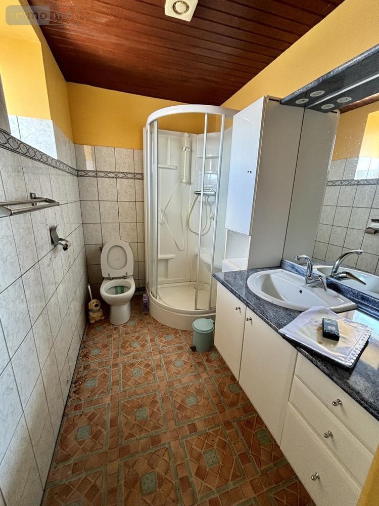 Maison a vendre Javerdat 87520 Haute-Vienne 100 m2  219720 euros