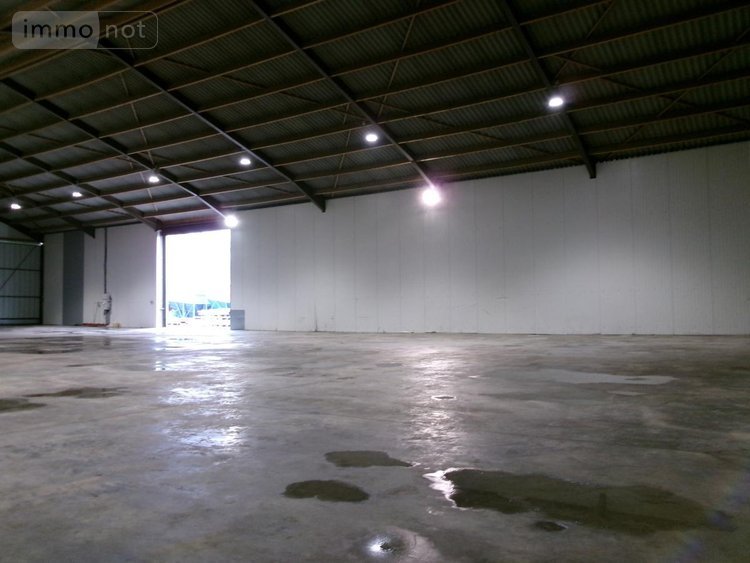 Location divers Cuinchy 62149 Pas-de-Calais 1000 m2  2500 euros