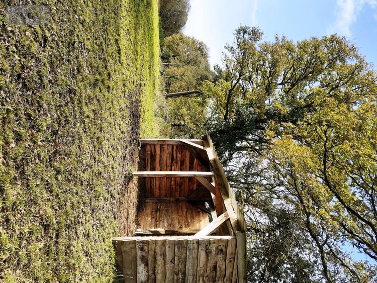 Divers a vendre Malguénac 56300 Morbihan 1 m2  471500 euros