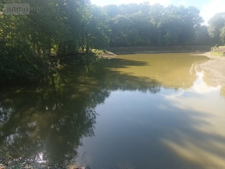 Terrains de loisirs bois etangs a vendre Plumaudan 22350 Côtes-d'Armor 5908 m2  39700 euros