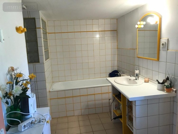 Maison a vendre Sainte-Solange 18220 Cher 310 m2 8 pièces 360500 euros