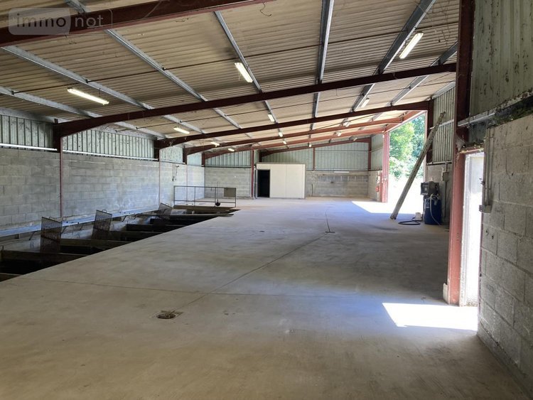Fonds et murs commerciaux a vendre Saint-Sulpice-les-Feuilles 87160 Haute-Vienne 400 m2  227200 euros