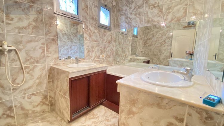 Maison a vendre Villemandeur 45700 Loiret 194 m2  314000 euros