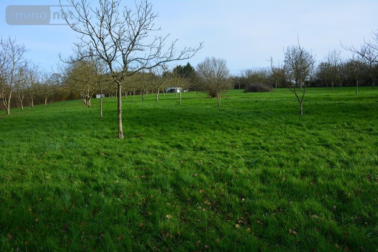 Terrains de loisirs bois etangs a vendre Grez-en-Bouère 53290 Mayenne 9026 m2  37450 euros