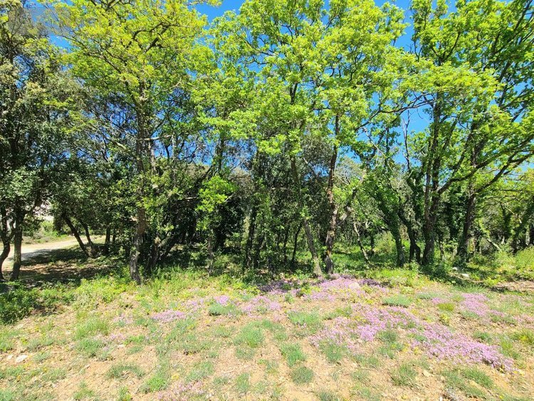 Maison a vendre La Garde-Adhémar 26700 Drôme 197 m2 7 pièces 471000 euros
