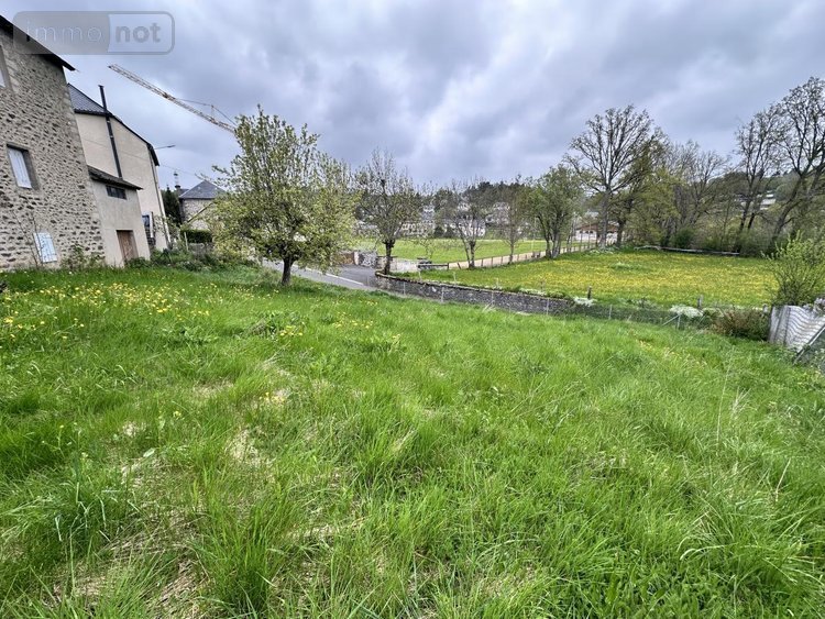 Maison a vendre Neuvéglise-sur-Truyère 15260 Cantal 160 m2  79500 euros