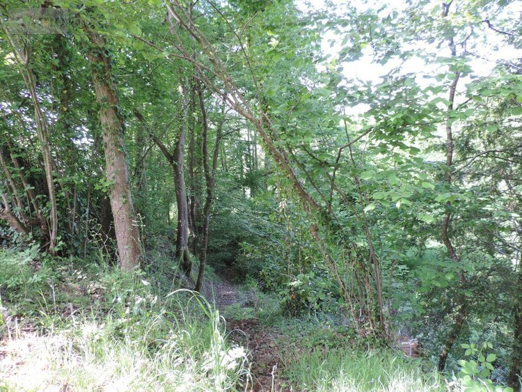 Maison a vendre Plounévez-Moëdec 22810 Côtes-d'Armor 98 m2 4 pièces 166500 euros