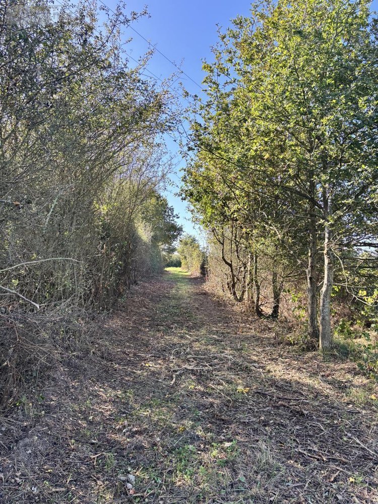 Maison a vendre Villemoisan 49370 Maine-et-Loire 155 m2 5 pièces 296000 euros