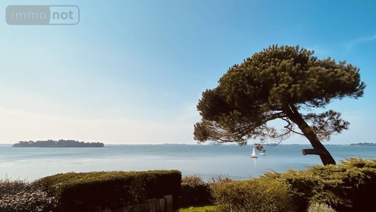 Maison a vendre Saint-Armel 56450 Morbihan 72 m2 3 pièces 880000 euros