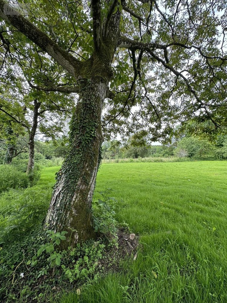 Maison a vendre Brech 56400 Morbihan 176 m2 9 pièces 640000 euros