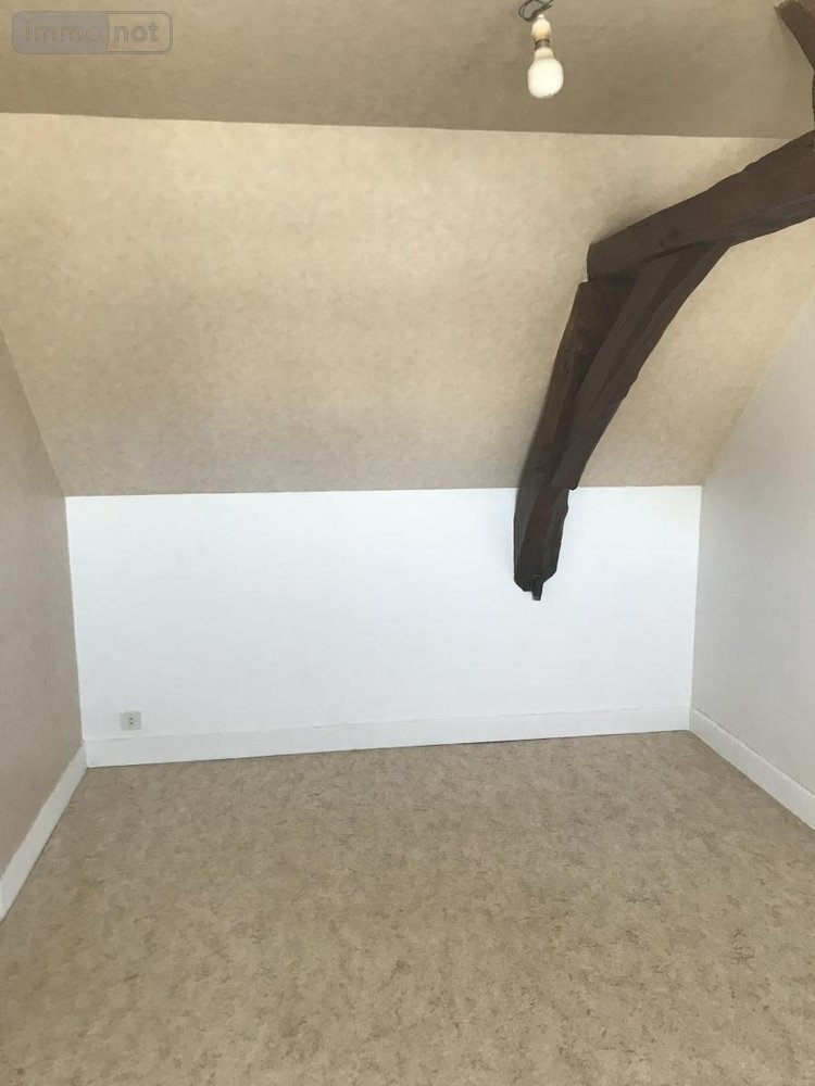 Location appartement Monnaie 37380 Indre-et-Loire 55 m2 3 pièces 590 euros