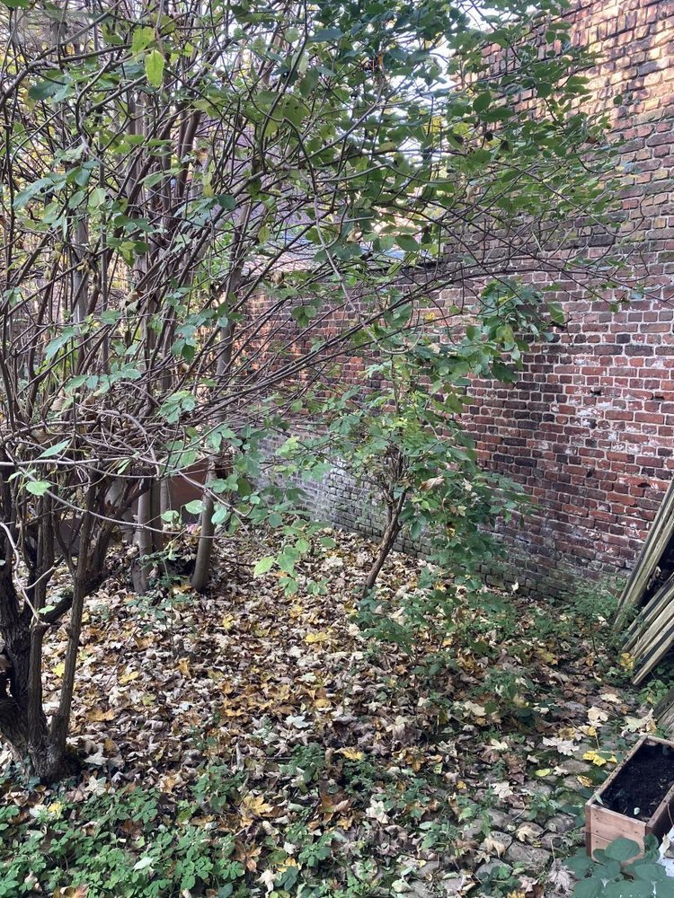 Location fonds et murs commerciaux Lille 59000 Nord 600 m2  3250 euros