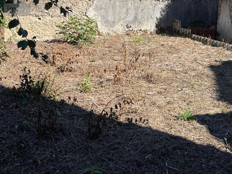 Maison a vendre Meximieux 01800 Ain 78 m2 3 pièces 183000 euros