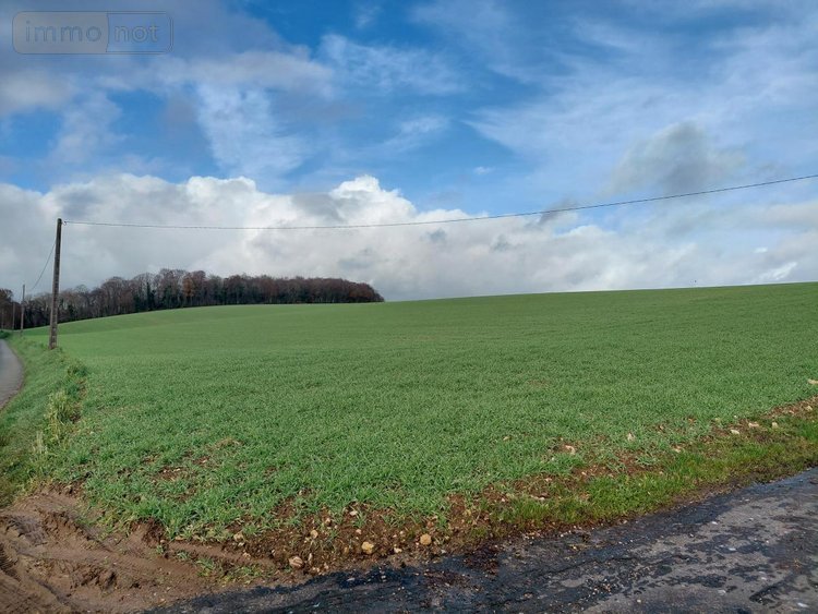 Terrains de loisirs bois etangs a vendre Courgeoût 61560 Orne 469990 m2  540253 euros