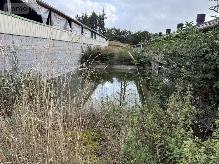 Divers a vendre La Motte 22600 Côtes-d'Armor 2600 m2  53960 euros