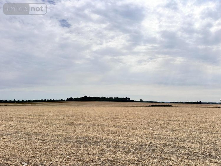 Maison a vendre Prinçay 86420 Vienne 90 m2 3 pièces 105300 euros