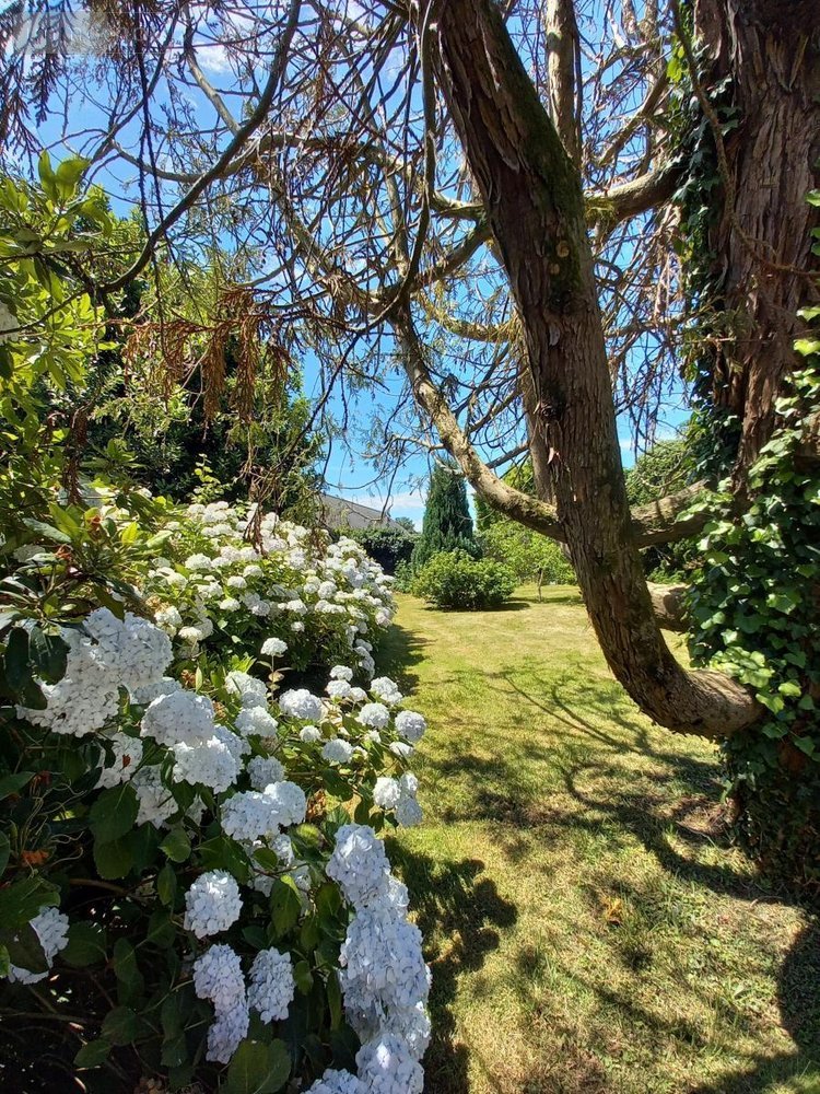 Maison a vendre Pluvigner 56330 Morbihan 131 m2 5 pièces 457280 euros
