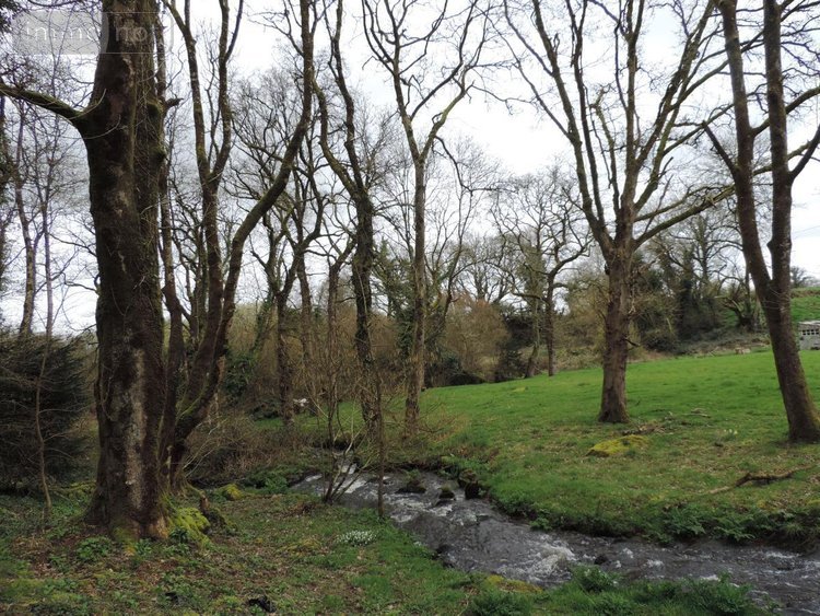 Maison a vendre La Chapelle-Neuve 22160 Côtes-d'Armor 39 m2  37700 euros