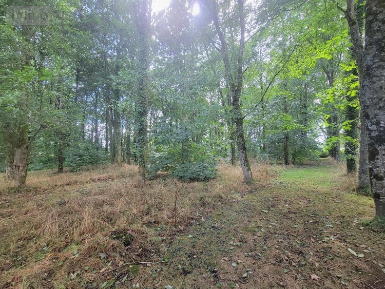 Maison a vendre Gourin 56110 Morbihan 120 m2 5 pièces 221020 euros