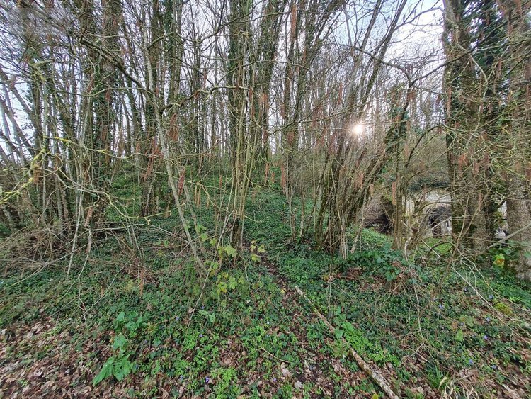 Divers a vendre Houssay 41800 Loir-et-Cher 87 m2  19800 euros