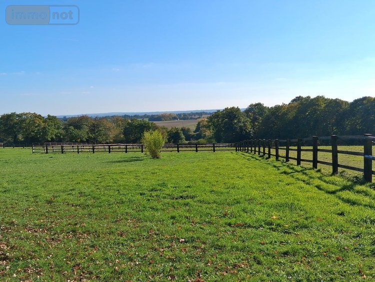 Maison a vendre Rives-d'Andaine 61140 Orne 570 m2 11 pièces 4300000 euros