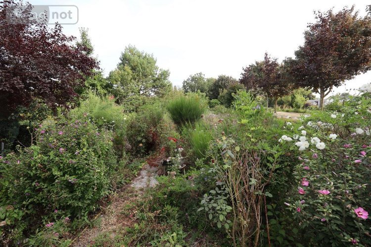 Maison a vendre Cambrai 59400 Nord 120 m2 4 pièces 142400 euros