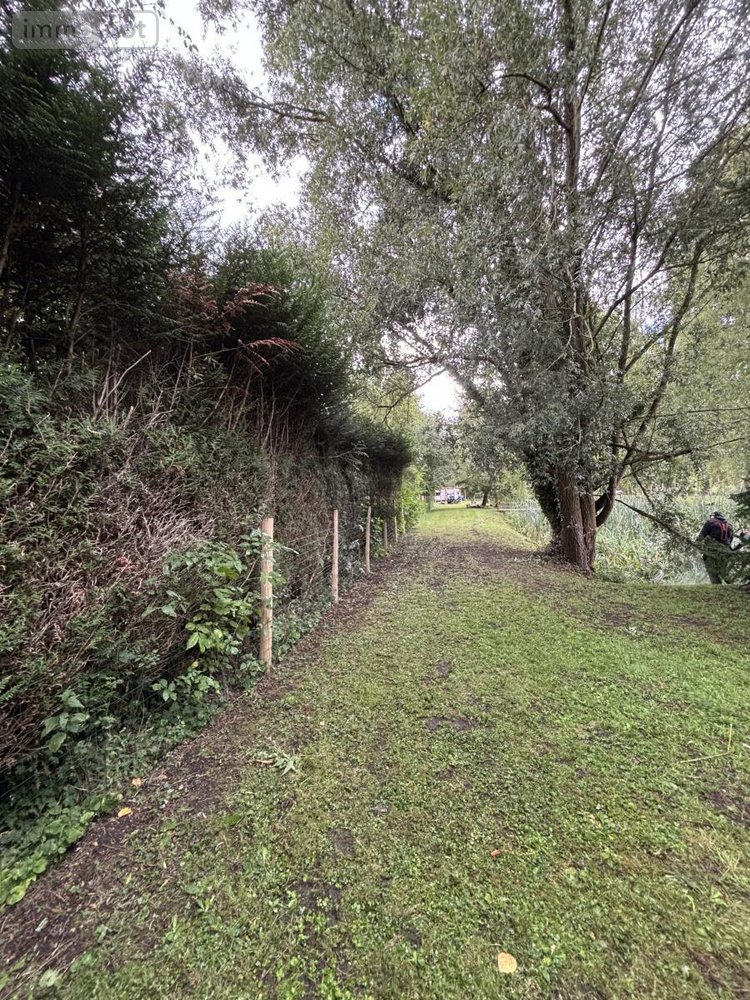 Terrains de loisirs bois etangs a vendre Le Grand-Lucé 72150 Sarthe 3221 m2  37000 euros