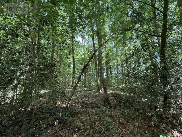 Divers a vendre Orbec 14290 Calvados 14560 m2  18970 euros