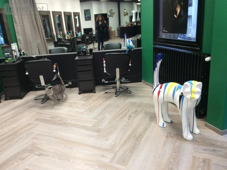 Fonds et murs commerciaux a vendre Vire-Normandie 14500 Calvados 72 m2  105930 euros