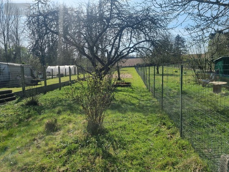 Maison a vendre Burbure 62151 Pas-de-Calais 83 m2 5 pièces 97200 euros