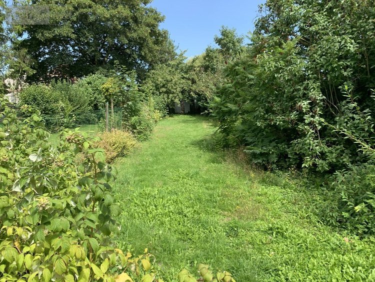 Location maison Arras 62000 Pas-de-Calais 125 m2  990 euros