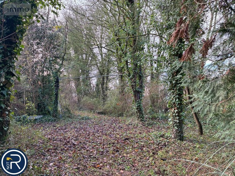 Maison a vendre Louverné 53950 Mayenne 124 m2 6 pièces 228800 euros