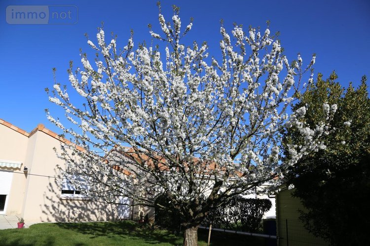 Maison a vendre La Séguinière 49280 Maine-et-Loire 140 m2 6 pièces 329025 euros