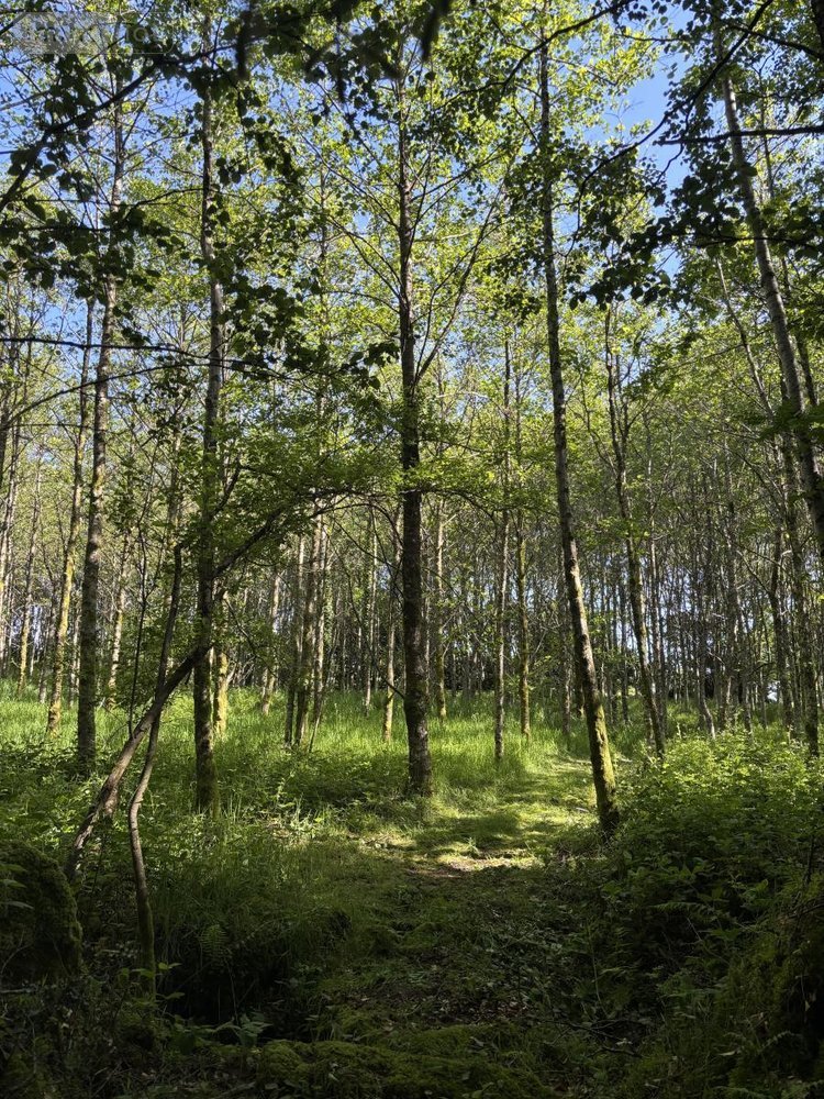 Terrains de loisirs bois etangs a vendre Noues de Sienne 14380 Calvados 185705 m2  399000 euros